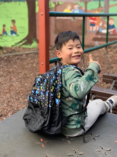 Arctic Fox Dino Black School Bag: The Perfect Backpack for Your Child